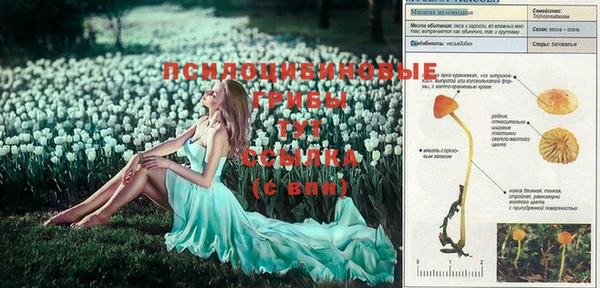 ешки Майский