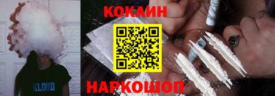 крисы Кулебаки
