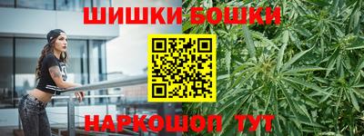 крисы Кулебаки