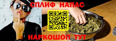 крисы Кулебаки