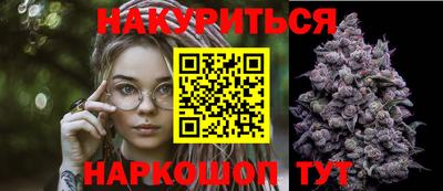 крисы Кулебаки