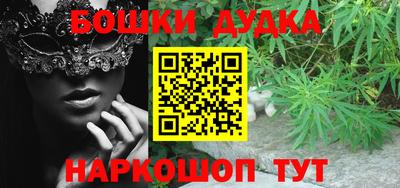 крисы Кулебаки