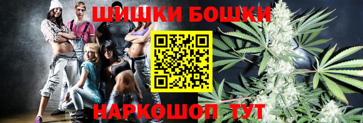 Бошки Шишки план Новомосковск